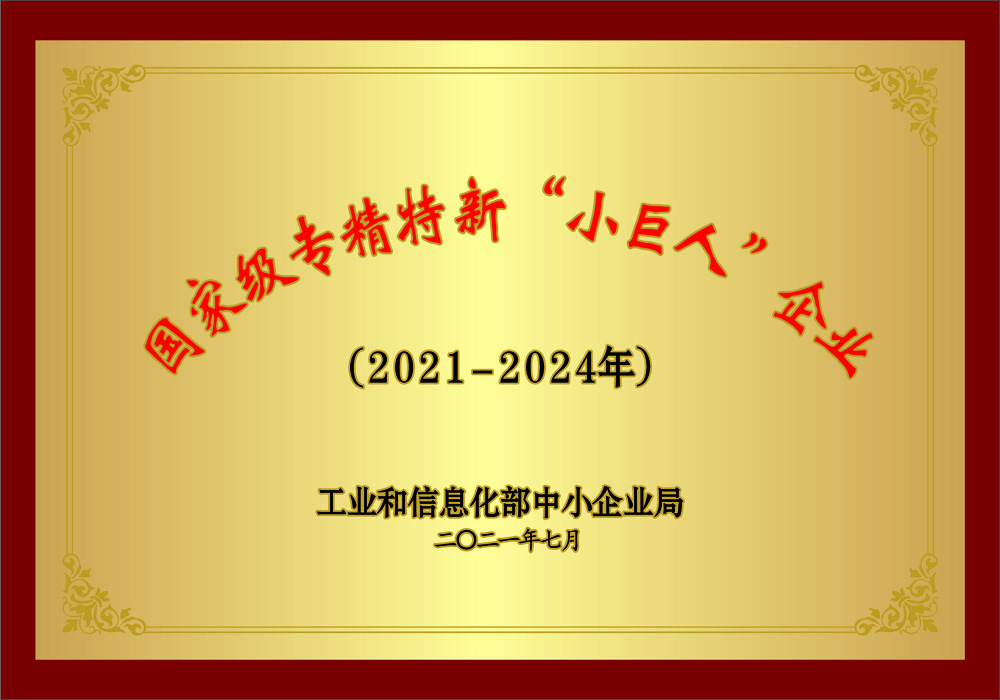 國(guó)家級(jí)專精特新“小巨人”企業(yè)